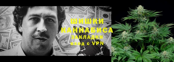 твердый Белокуриха