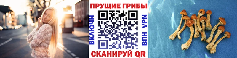Галлюциногенные грибы мицелий  продажа наркотиков  Уфа 